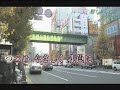 若い涙よ風に散れ     佐々木新一  カバー 王瑞德