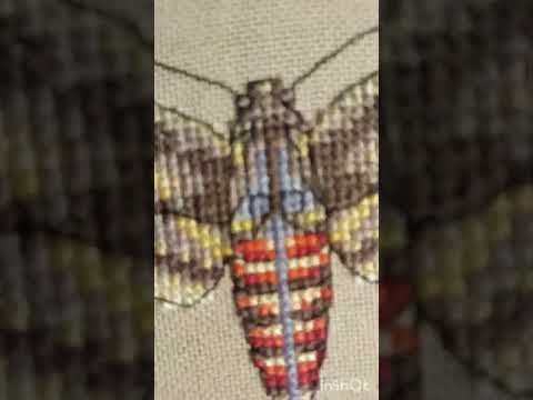 Видео: #насекомые #вышивкакрестиком #БРАЖНИК