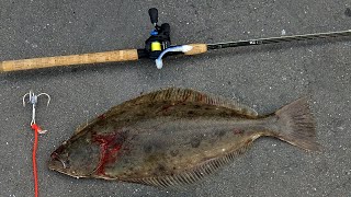 Keeper Halibut Swimbait Fishing from Shore!
