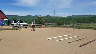 Jaylynn W Suelynn Trotting Poles Cl