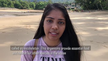 Video AquaChem Group5