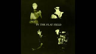Bauhaus - In the Flat Field (Instrumental)