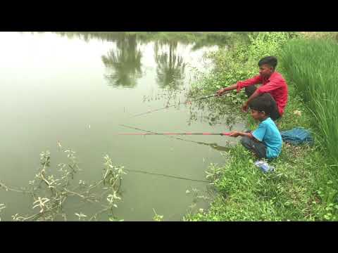 Hook Fishing ~ Traditional Hook Fishing 🎣 Village Daily Life (Part-435)