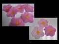 kimie gangiの壁面掲示「お花紙で作るふわふわの桜」