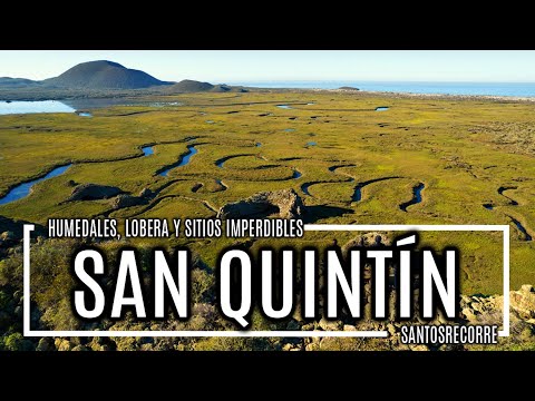 🟢 Imperdibles de SAN QUINTÍN, BAJA CALIFORNIA. Baja Road trip SantosRecorre. Humedales, Lobera y más