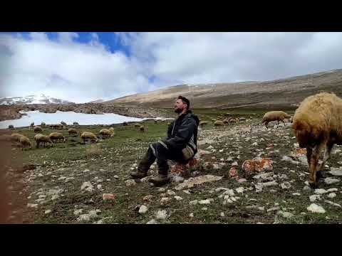 DOLANIYOM DOLANIYOM YAVRUM SENİ BULAMIYOM  ( Suna nın AĞIDI) TARIK KARA