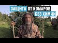 Народные средства от комаров, клещей, мошки, слепней