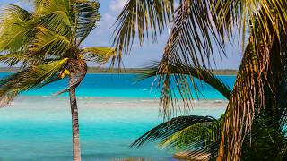 Tropical Bossa Nova by The Sea - Ocean Breeze and Beach Views for Relaxing Moments