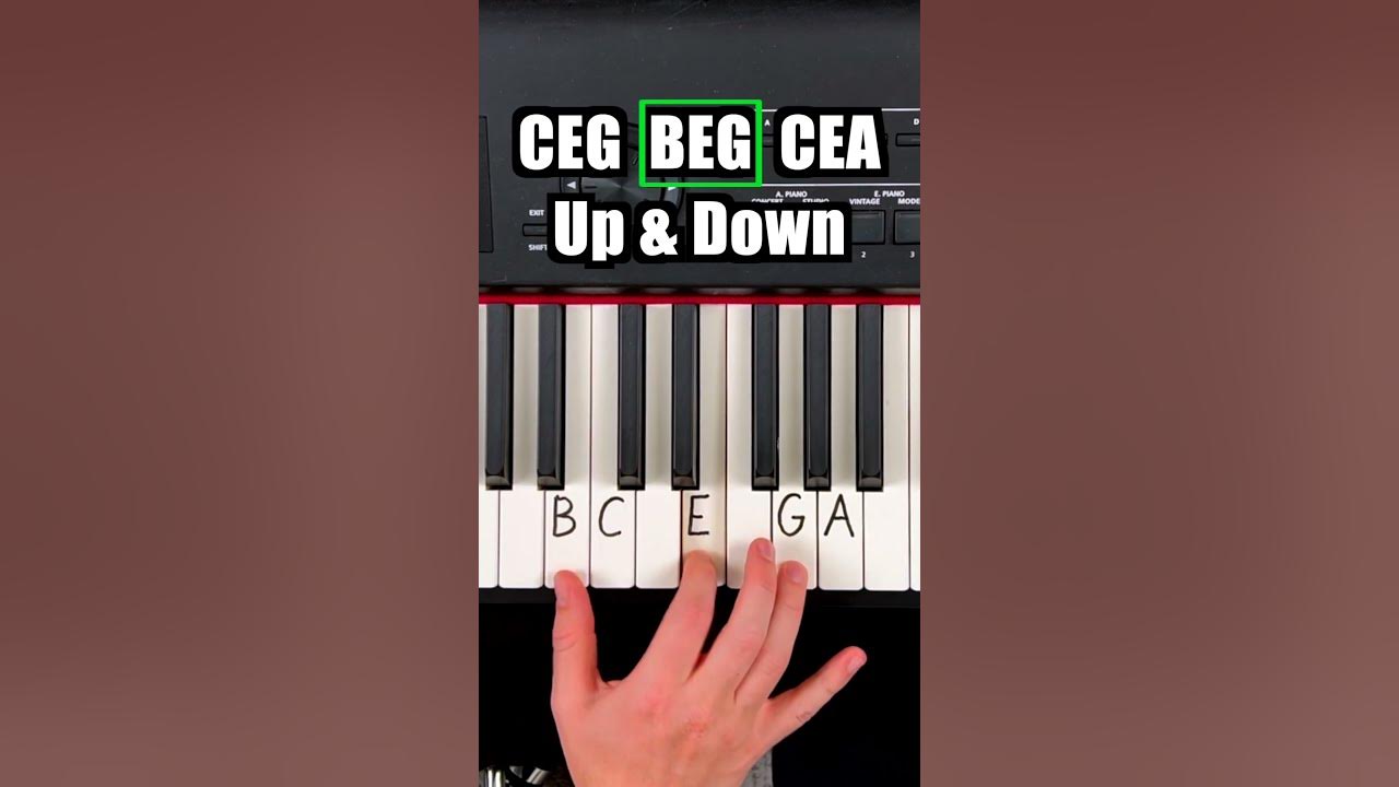 ☝️ Learn 4 Chords Play 100's of Songs - Link in bio ☝️ Learn 4 Chords Play 100's of Songs - Link in bio
