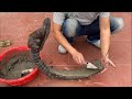 Tips Making Beautiful pots - Great Cement Craft Ideas - Unique Gift for your Garden - DIY fish pots