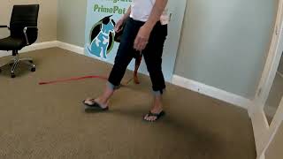 04-08-26 Jett W. Initial Gait Analysis