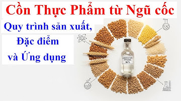 Cồn Thực Phẩm từ Ngũ cốc: Quy trình sản xuất, Đặc điểm và Ứng dụng | | | Ethanol thực phẩm | Alcohol