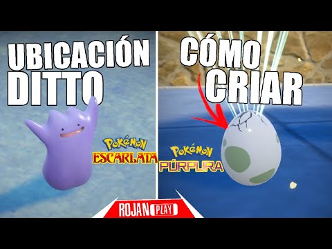 Video: ¿Puedes criar ultra bestias con Ditto?