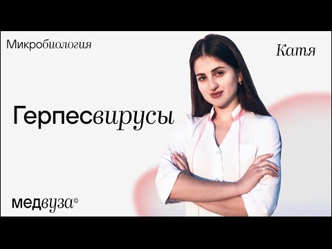 Герпесвирусы | Микробиология