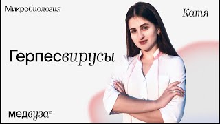 Герпесвирусы | Микробиология