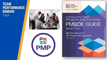 Team Performance Domain