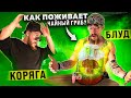 КАК ПОЖИВАЕТ ЧАЙНЫЙ ГРИБ ВИКТОРА БЛУДА!?