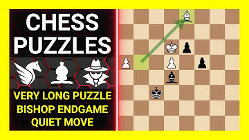 Chess Puzzles to Practice. Themes: Very long puzzle, Bishop endgame, Quiet move. Learn
