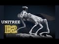 The unitree b2 robot dog keeps evolving  most advanced quadruped robot robotics robot