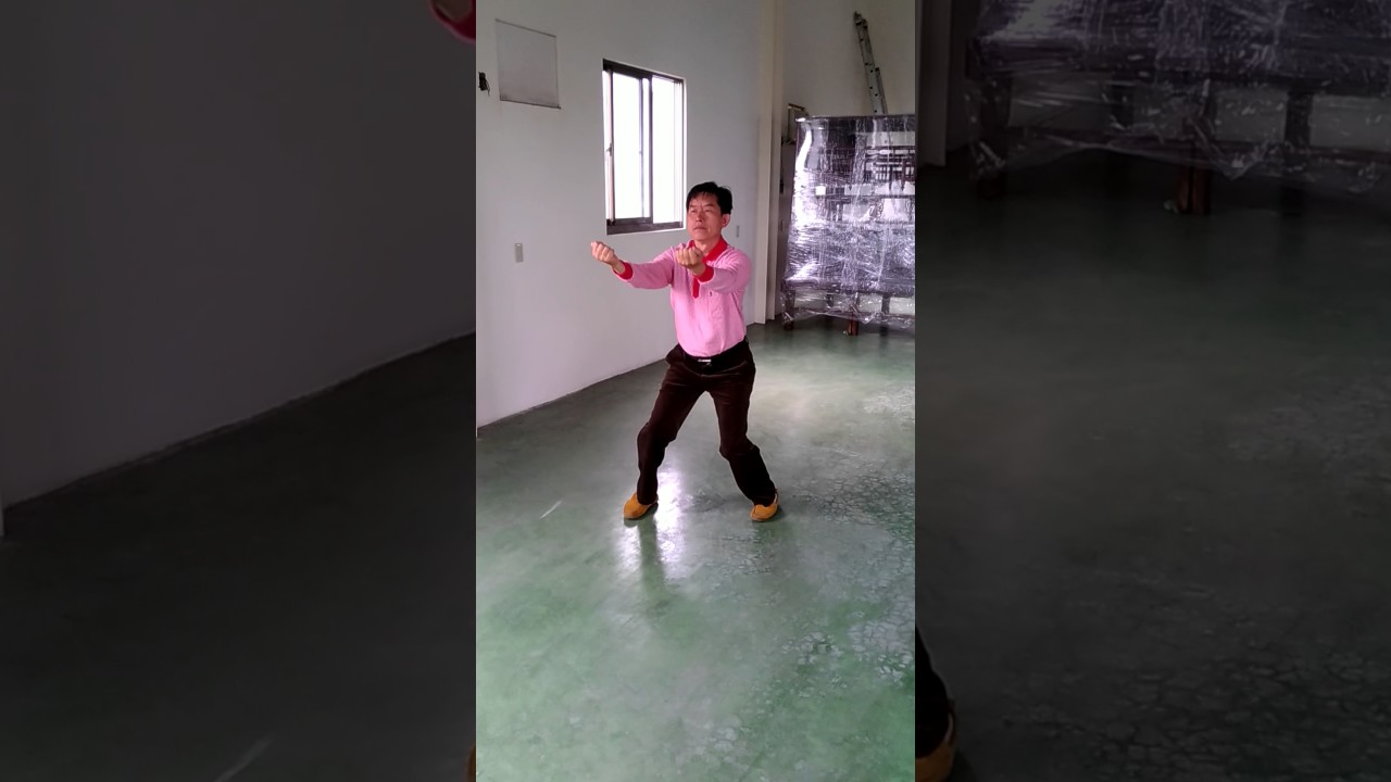 台中西屯二高白鶴拳(三戰)