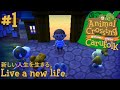 Animal Crossing: New Leaf #1 [Carufolk]