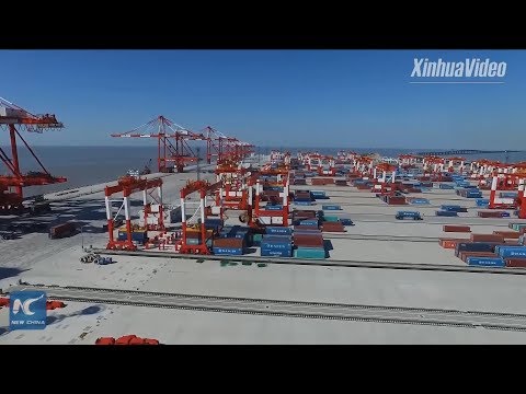 Exploring world's biggest automated container terminal in Shanghai