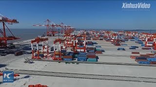 Exploring world's biggest automated container terminal in Shanghai