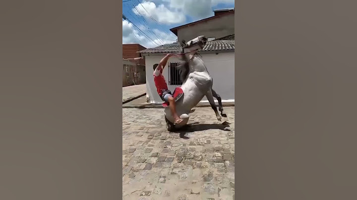 O freio está bom 😂   #viral #cavalo #shorts #explorar #mangalarga #fyp #muares #kwai#caballos#humor