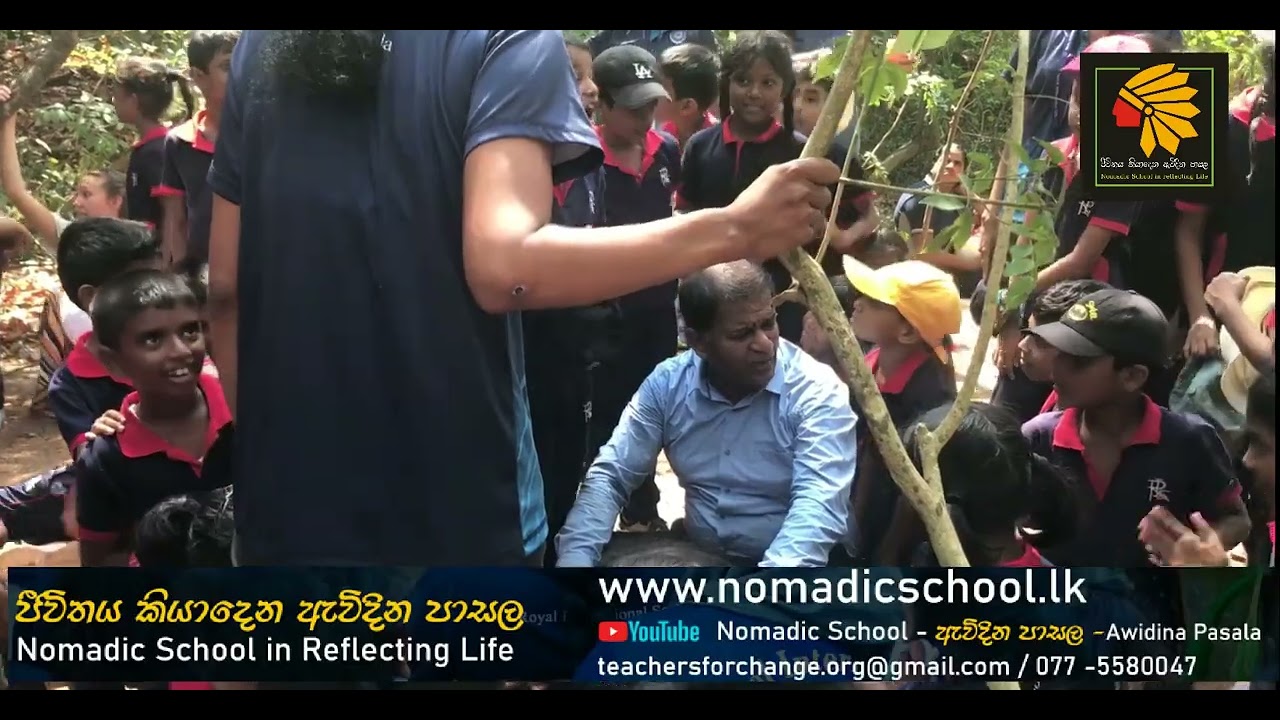 Nomadic - Forest - Adventure School - ජීවිතය කියාදෙන ඇවිදින පාසල #nomadicschool #forestschool