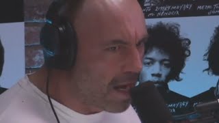 Joe Rogan and Brendan Schaub straighten dumbass 'toughguy' Bryan Callen right out, HILARIOUSLY