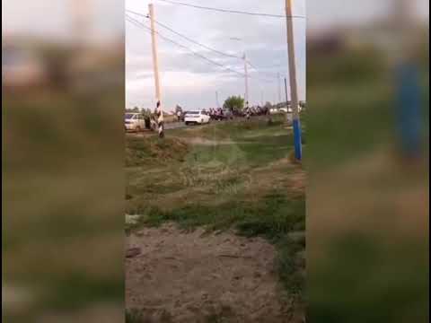 #В Димитровграде| цыганская свадьба| закончилась массовой дракой.#