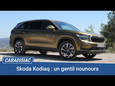 Miniature : Skoda Kodiaq (2024) : un gentil nounours (Essai vidéo)