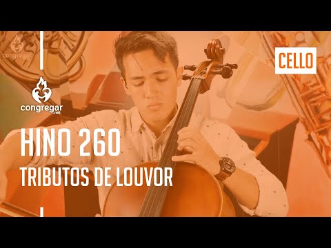 🎻 Hino 260