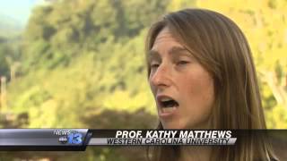 Fall Foliage Forecast