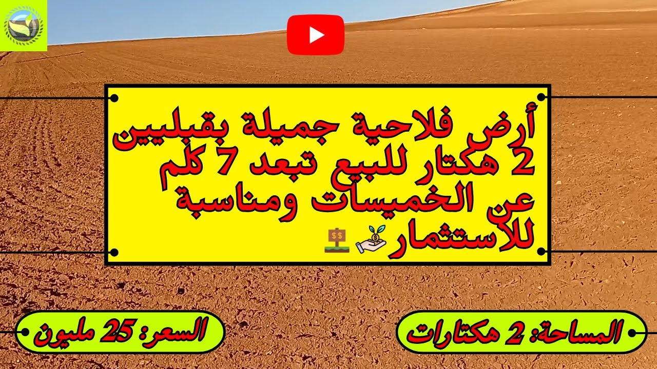 فرصة للبيع أرض 2 هكتار بقبليين موقع ممتاز وصالحة لجميع الزراعات والثمن قابل للتفاوض 🌱