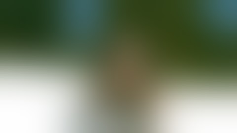 GiConnect Call-shop Earn