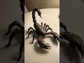 Tiny Metallic Egg Transforms Into Deadly Futuristic Robotic Scorpion Beast #FutureTech #AITech#SciFi