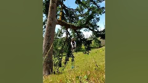 SRT Climbing oak tree with my new petzl pantin and R.A.D. system