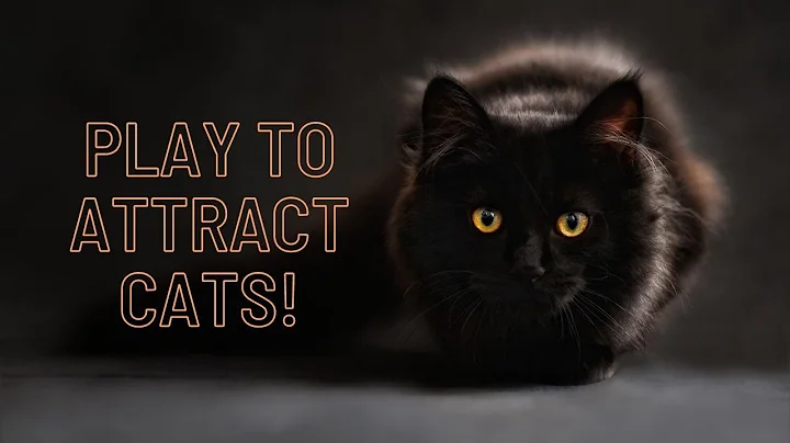 Play this to attract your cat and make it meow back (works instantly!)