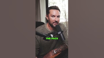 How the crypto market cycle works?