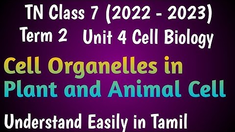 Cell Organelles in Plant and Animal Cell| Class 7 Science Term 2 Unit 4 Cell Biology