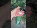 شامبو كريمي سالفيت فري بالاعشاب