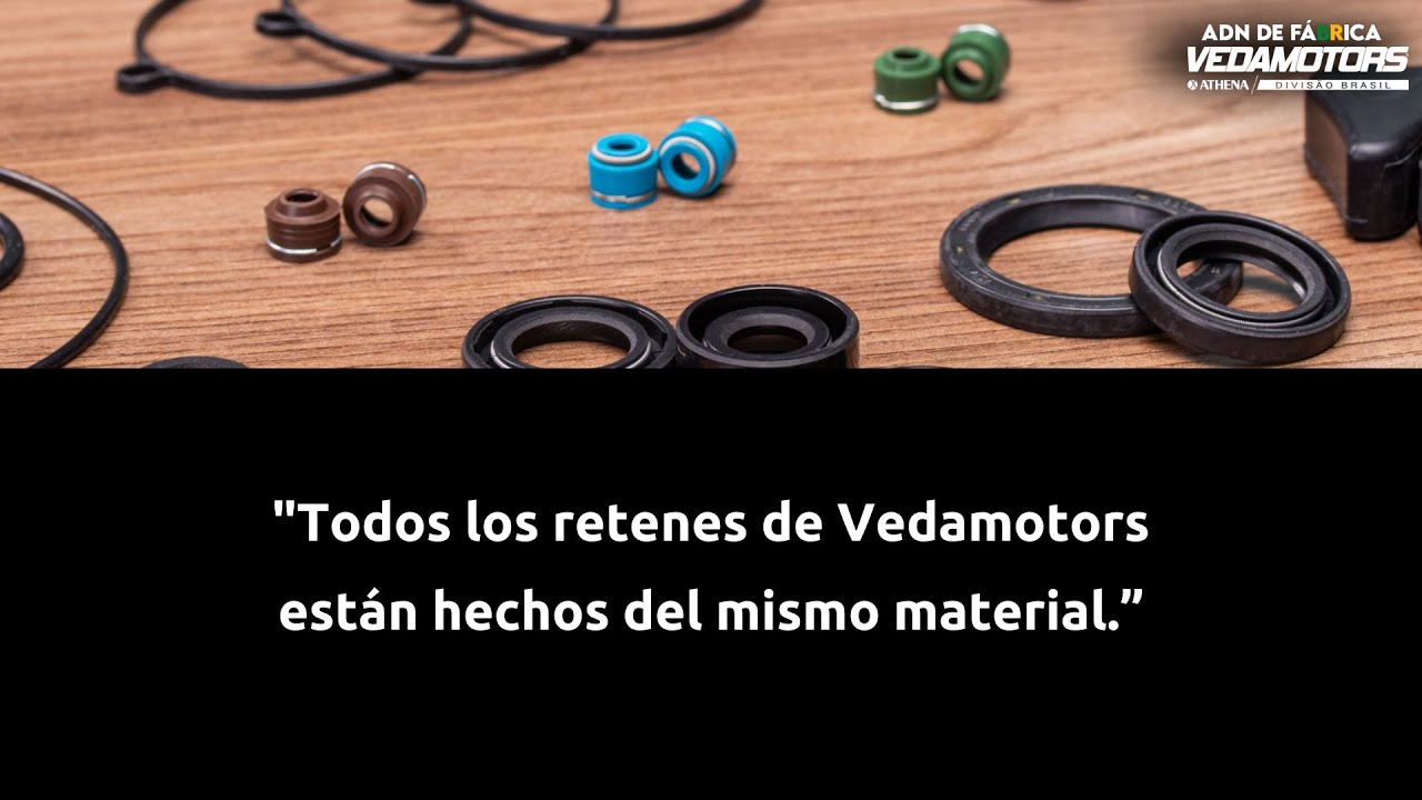 WORKSHOP EMPAQUES Y RETENES | ¿Todos los retenes de Vedamotors son iguales?