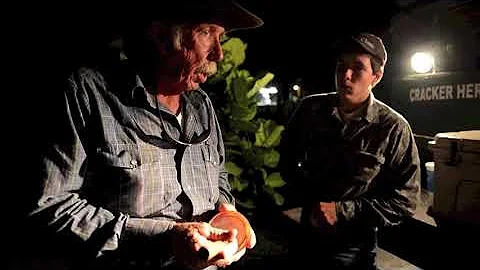 Calling Osceola Turkeys with Dennis Crews
