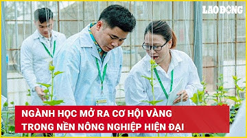 Ngành học mở ra cơ hội vàng trong nền nông nghiệp hiện đại | Báo Lao Động