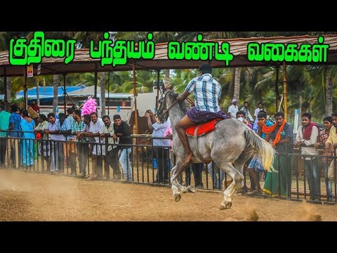 பந்தய குதிரை வண்டி வகைகள் | Horse Rekla Race | குதிரை பந்தயம் மற்றும் பயிற்சி