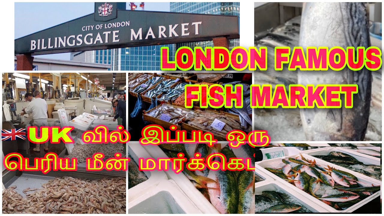 LONDON FAMOUS FISH MARKET/லண்டனில் மிகப்பெரிய மீன் சந்தை YouTube
