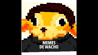 Memes De Wacho 🤑 (Perro Waton Bailando Part 2?)