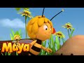 Maya, commander in chief - Maya the Bee - Episode 50