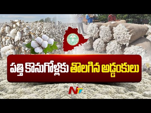 CCI, Ginning Mills to begin Cotton Procurement this week: Minister Tummala | NTV Telugu - NTVTELUGU